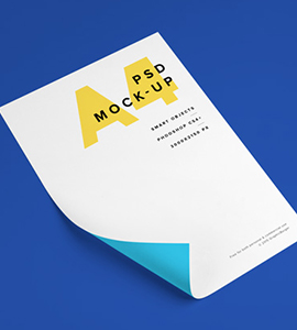 Antetli Kağıt ve Logo